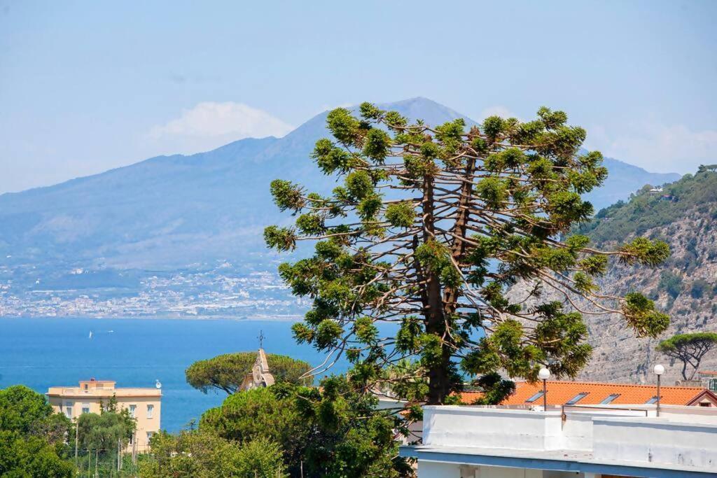 Alpa Suite Sant'Agnello Exterior foto